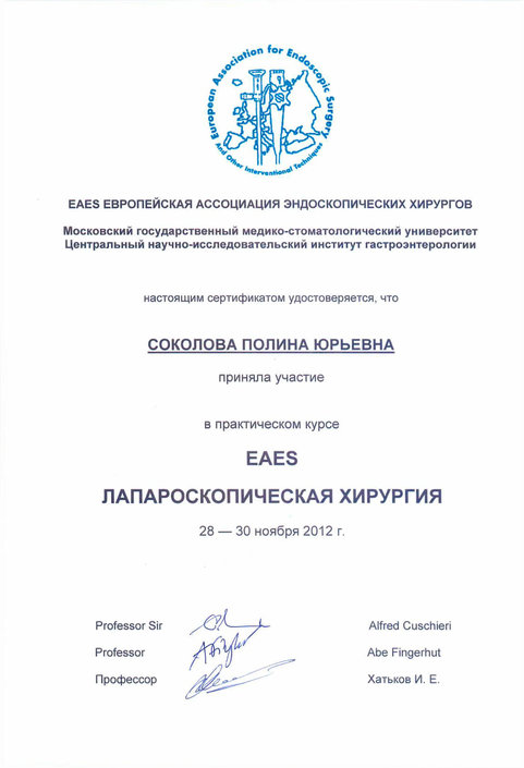 Сертификат Лапроскопическая хирургия 2012