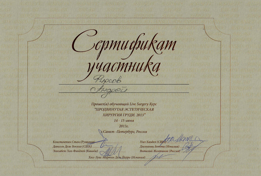 Сертификат участника курса 2013